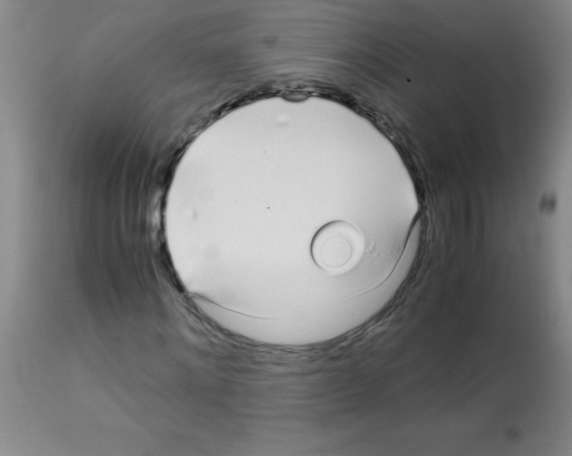 X0000113090868200910091255