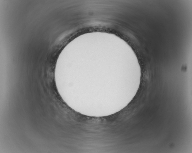 X0000113090869200910091255