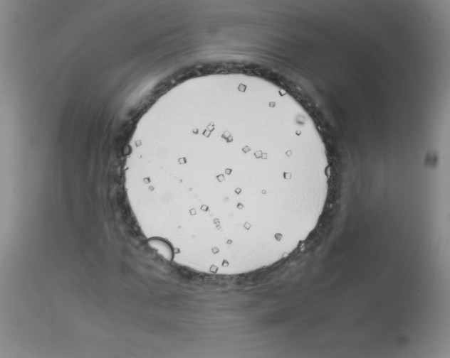 X0000113090871200910091255
