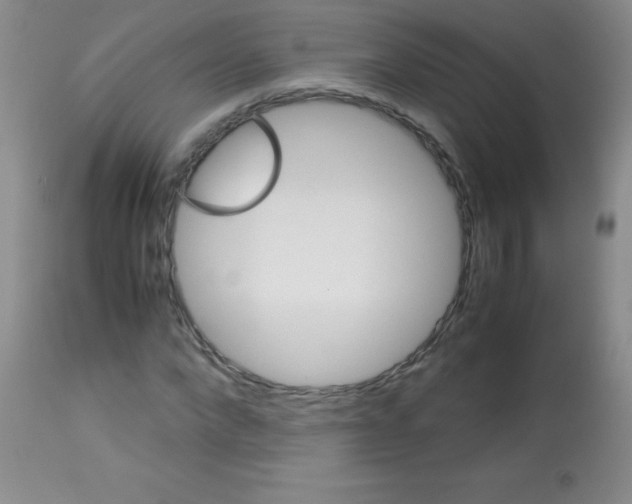 X0000113090872200910091255