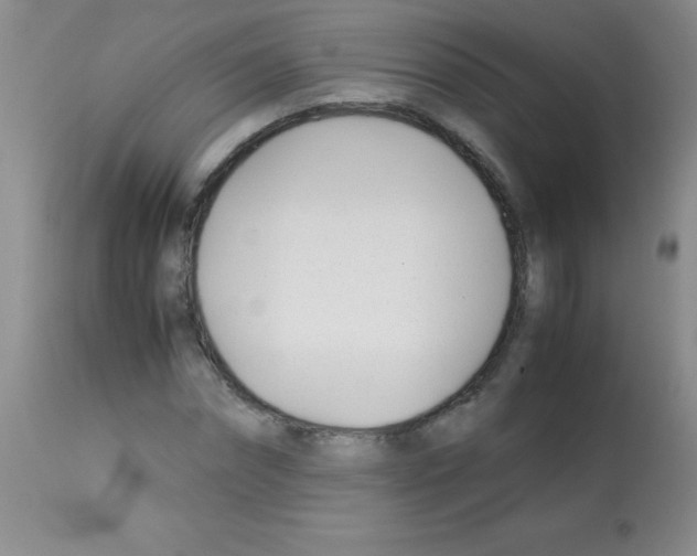 X0000113090874200910091255