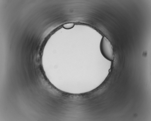 X0000113090876200910091255