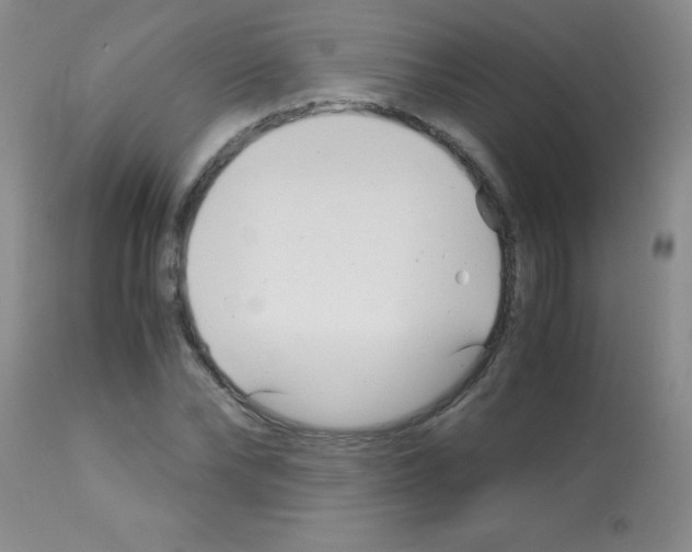 X0000113090878200910091255