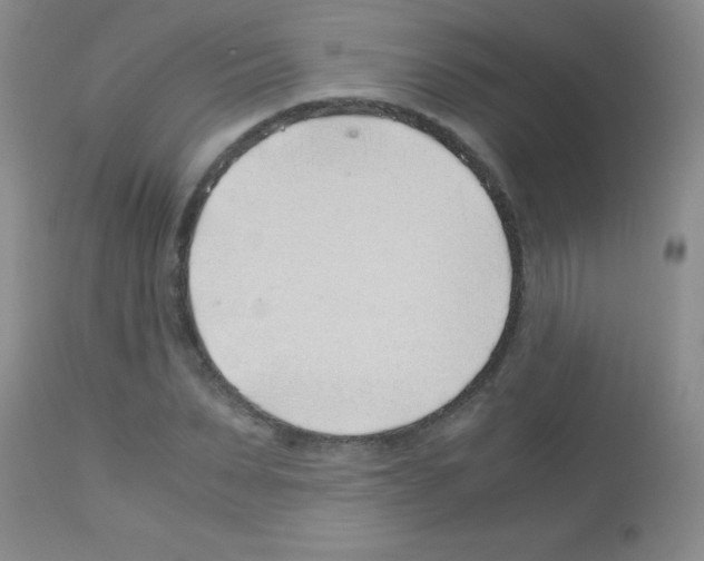 X0000113090879200910091254