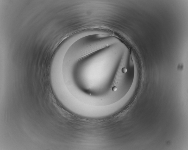 X0000113090881200910091254