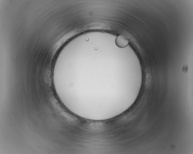 X0000113090882200910091254