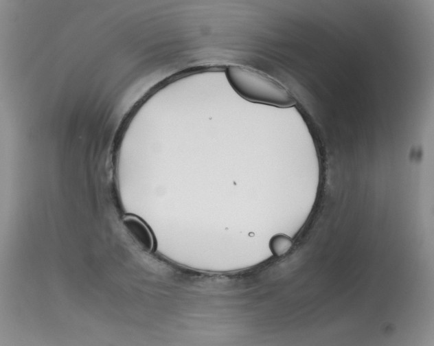 X0000113090885200910091254