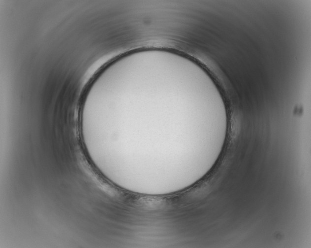X0000113090886200910091254