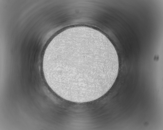 X0000113090888200910091254