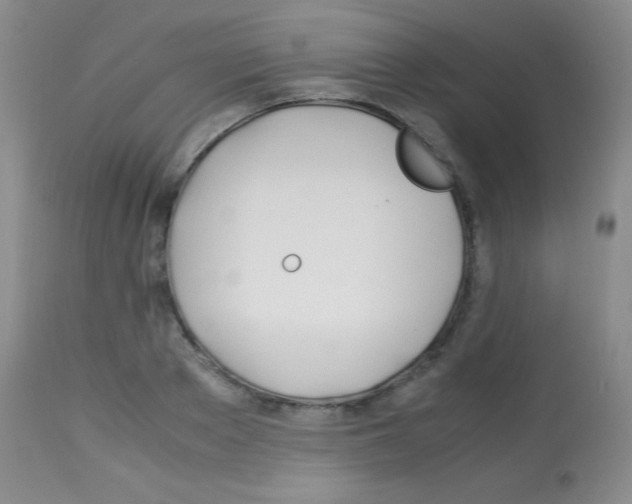 X0000113090889200910091254