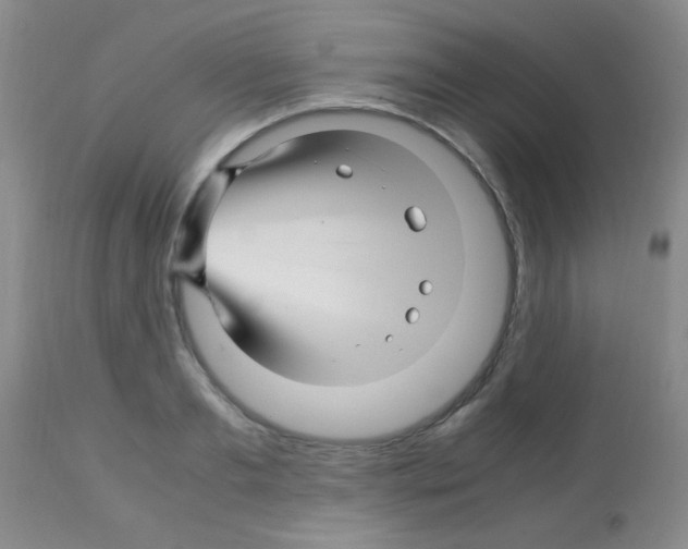 X0000113090893200910091254