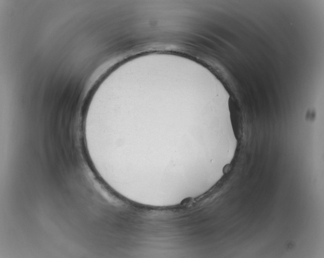 X0000113090894200910091254