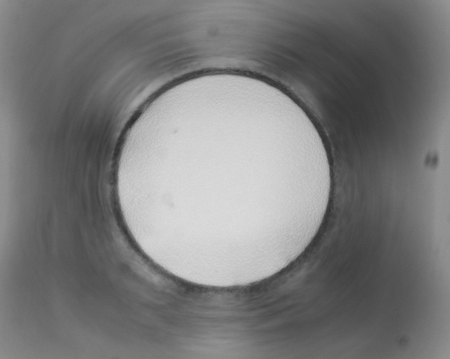 X0000113090895200910091254