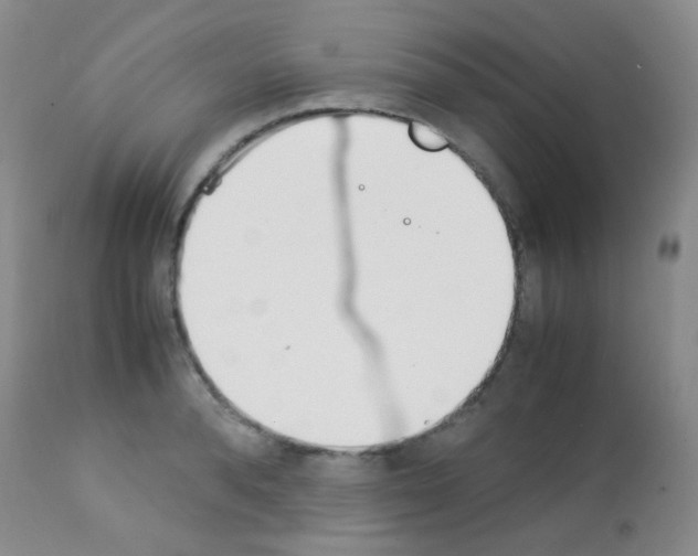 X0000113090896200910091254