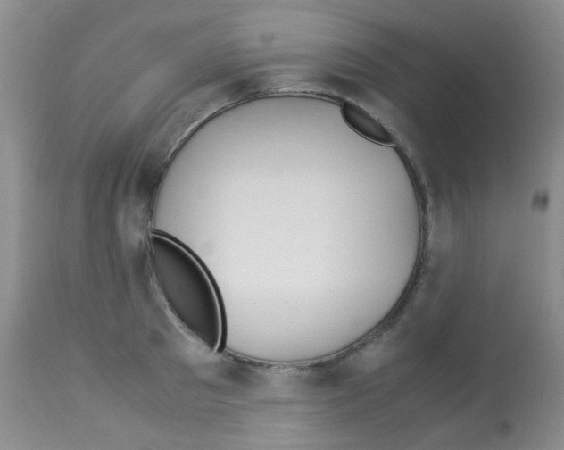 X0000113090897200910091254