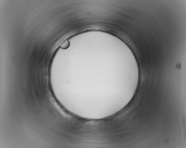X0000113090898200910091254