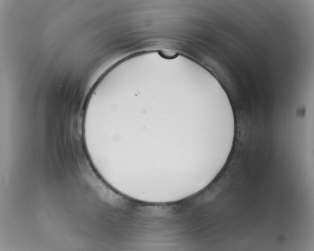 X0000113090900200910091254