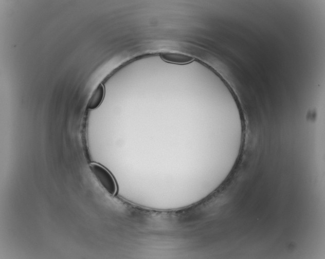 X0000113090901200910091254
