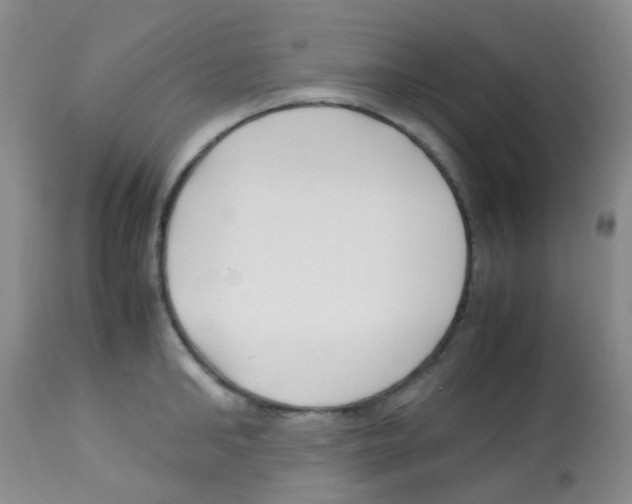 X0000113090902200910091254