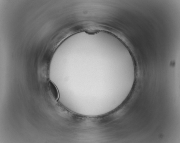 X0000113090905200910091254