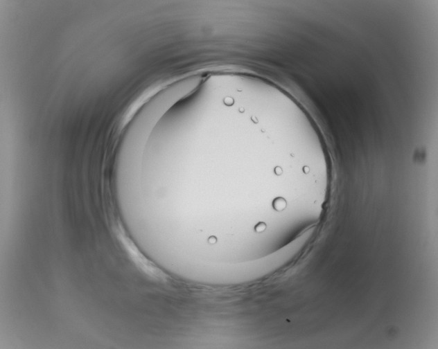 X0000113090909200910091254