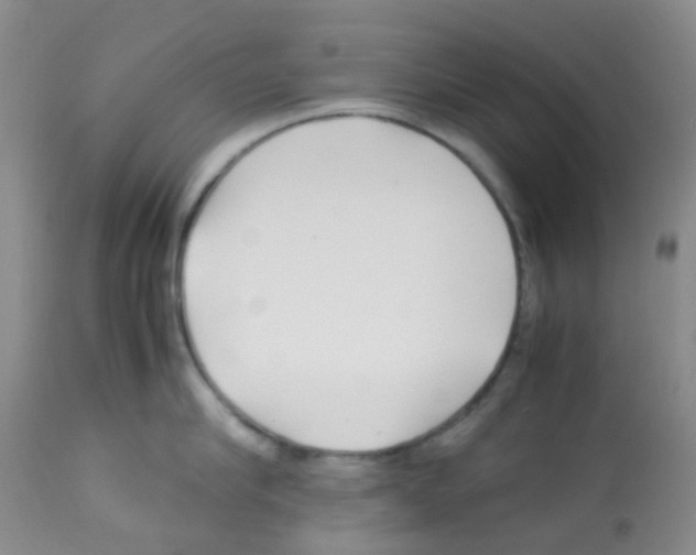 X0000113090910200910091254