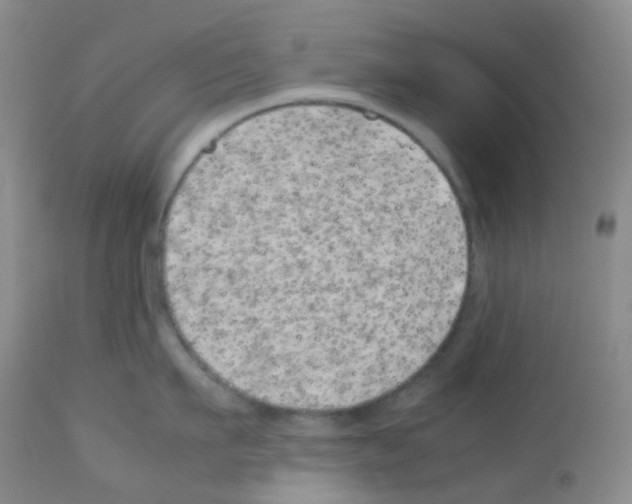 X0000113090911200910091254