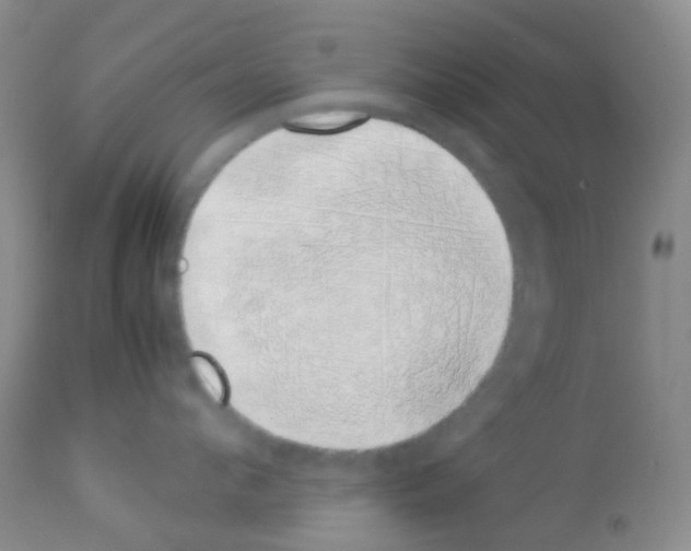 X0000113090912200910091254