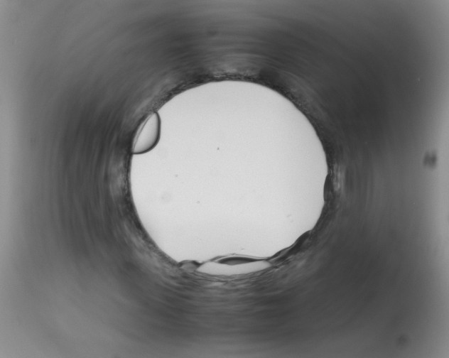 X0000113090915200910091253