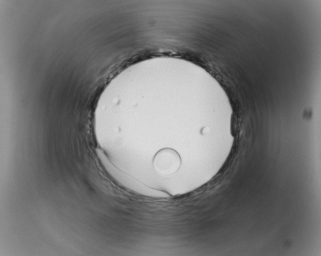 X0000113090916200910091253