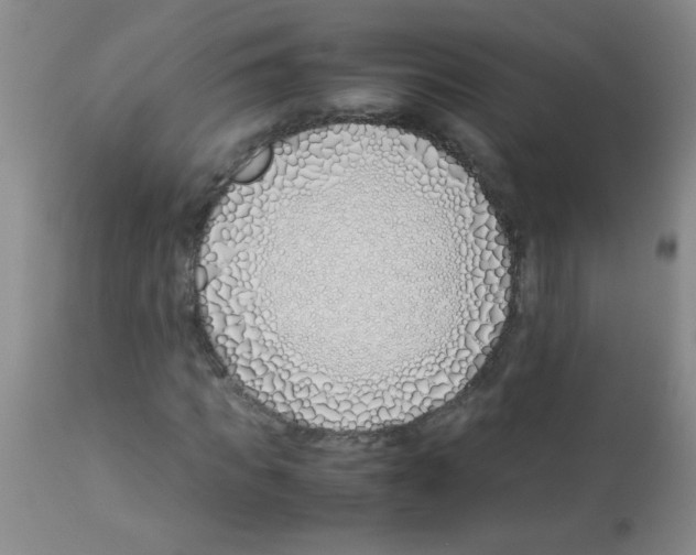 X0000113090917200910091253