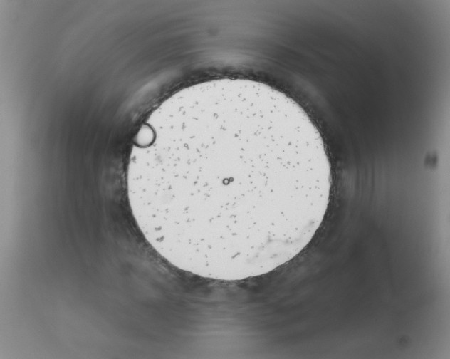 X0000113090918200910091253