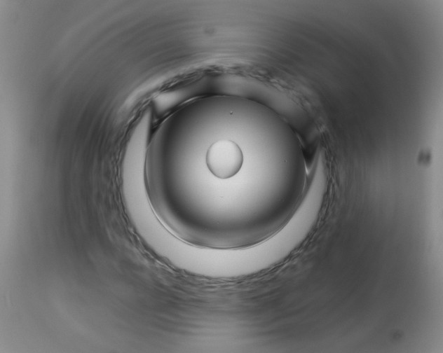 X0000113090920200910091253