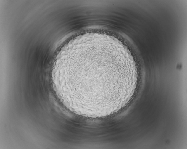 X0000113090921200910091253