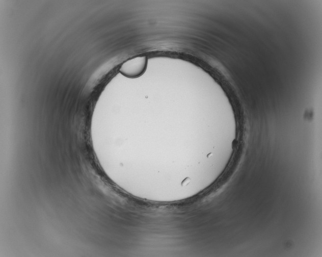 X0000113090922200910091253