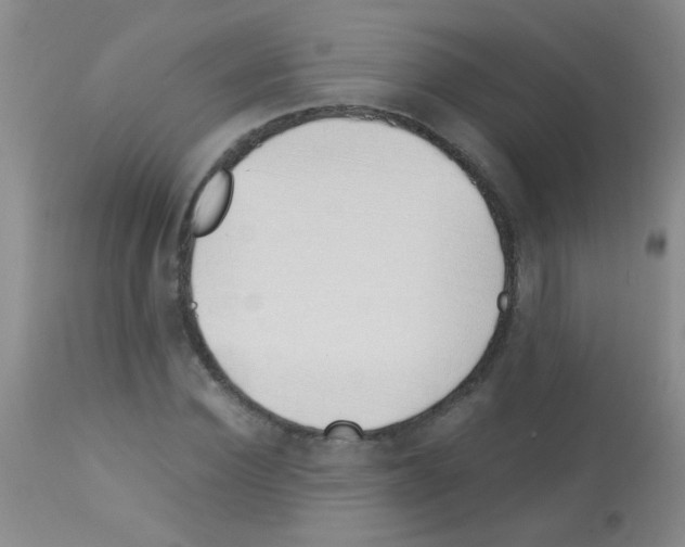 X0000113090924200910091253