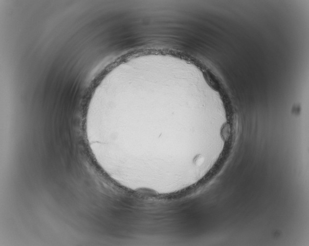 X0000113090925200910091253