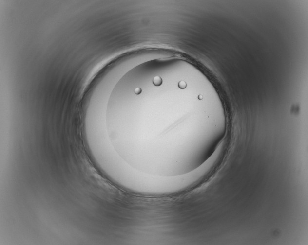 X0000113090926200910091253