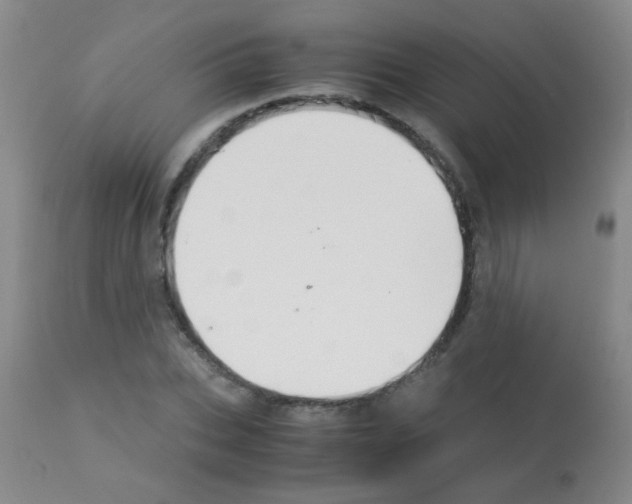 X0000113090927200910091253