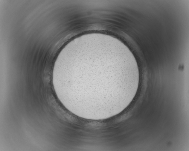 X0000113090929200910091253