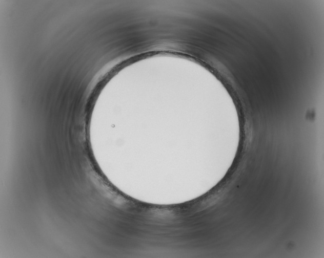 X0000113090931200910091253