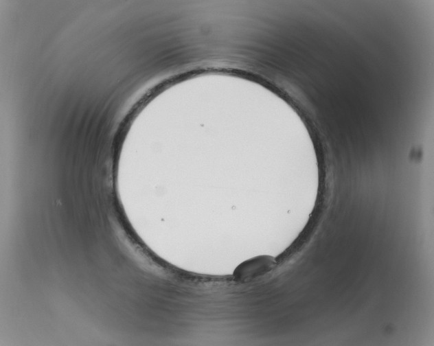 X0000113090934200910091253