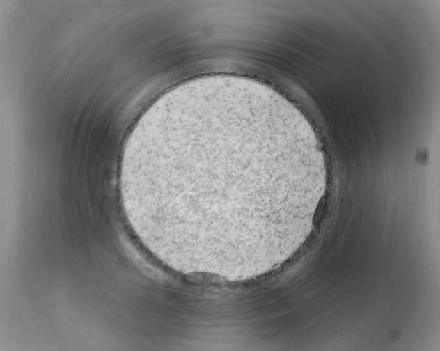 X0000113090938200910091254