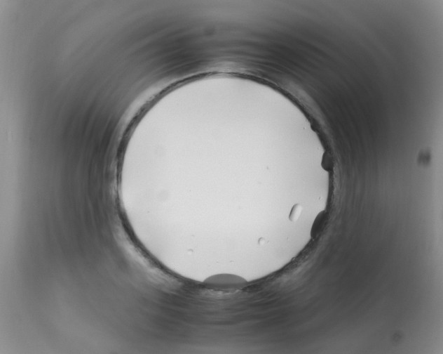 X0000113090939200910091254
