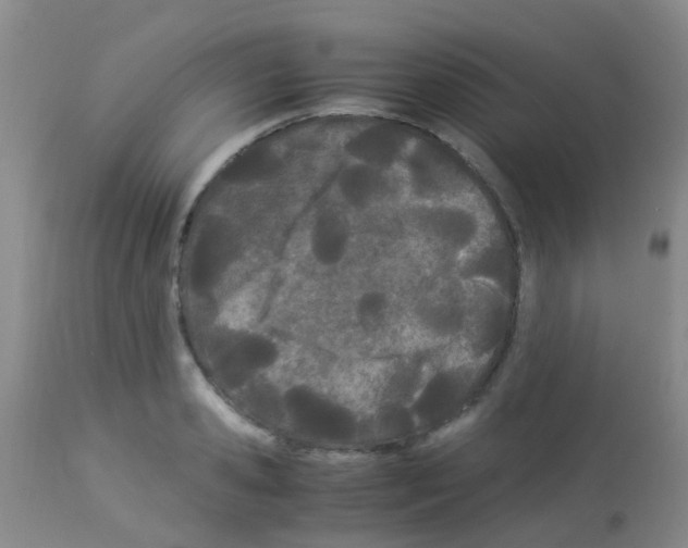 X0000113090941200910091254