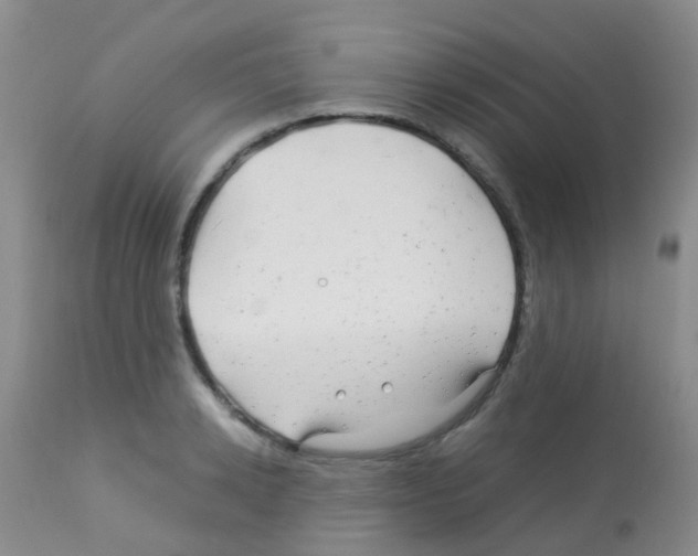 X0000113090942200910091254