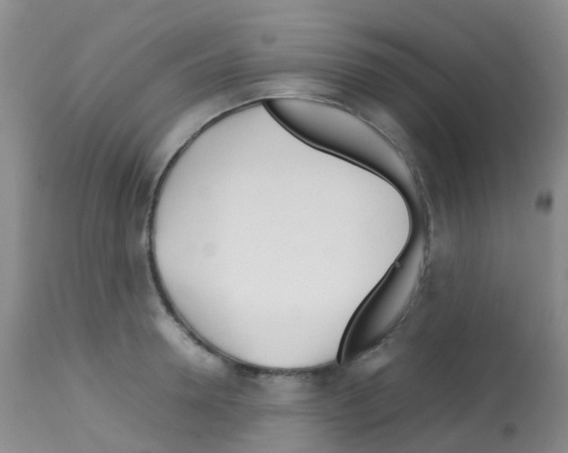 X0000113090946200910091254