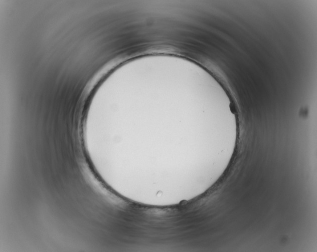 X0000113090947200910091254