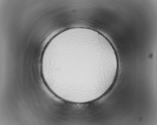 X0000113090949200910091254