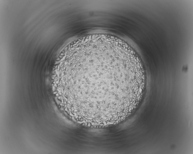 X0000113090953200910091254